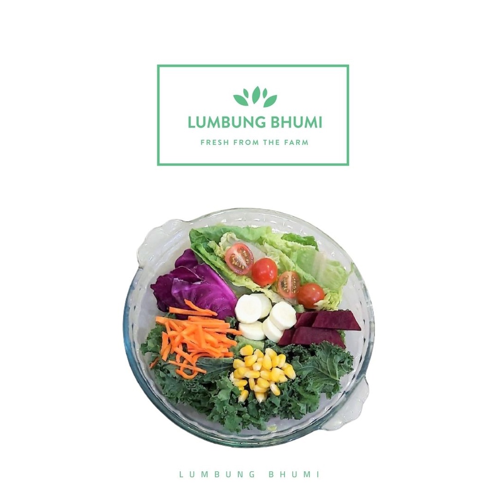 

Lumbung Bhumi - Salad Sayur Kale Beet S - 250 ml ( Juice Your Day )