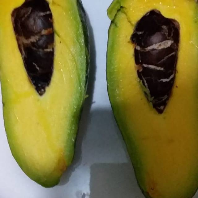 

Alpukat mentega