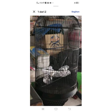 kandang sangkar besi burung lovebird merek panda
