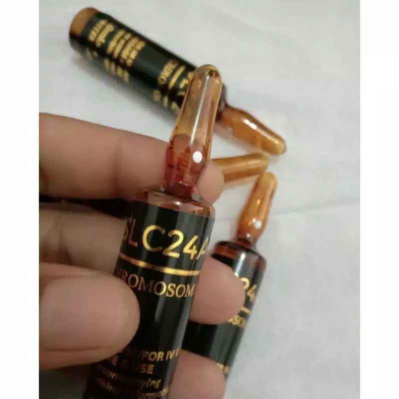 SLC24A5 CHROMOSOME PLATINUM