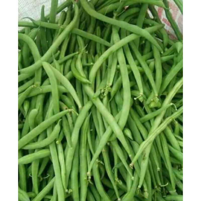 

buncis/sayuran segar 250grm