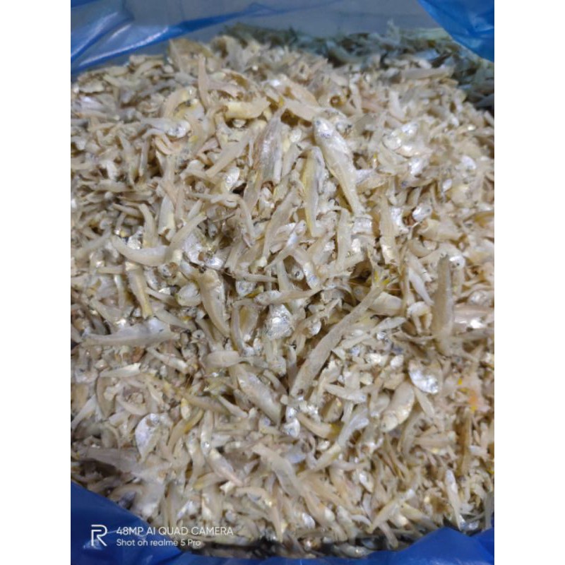 

ikan teri gepeng/Pekto 250gr