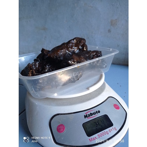 

PROPOLIS KLANCENG / PROPOLIS TRIGONA FRESH / PROPOLIS MENTAH / PERASAN MADU