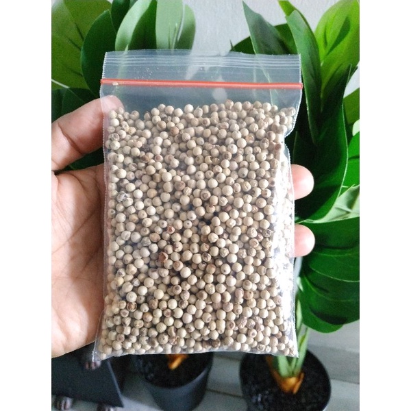 

LADA PUTIH PREMIUM, 100% Asli Belitung, Ukuran. 100gr, Pedas Dan bisa buat Hangat Badan