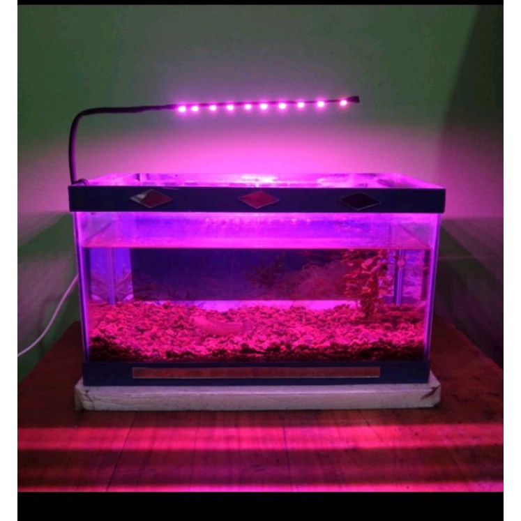 Jual LAMPU AQUARIUM LED WARNA PINK | Shopee Indonesia