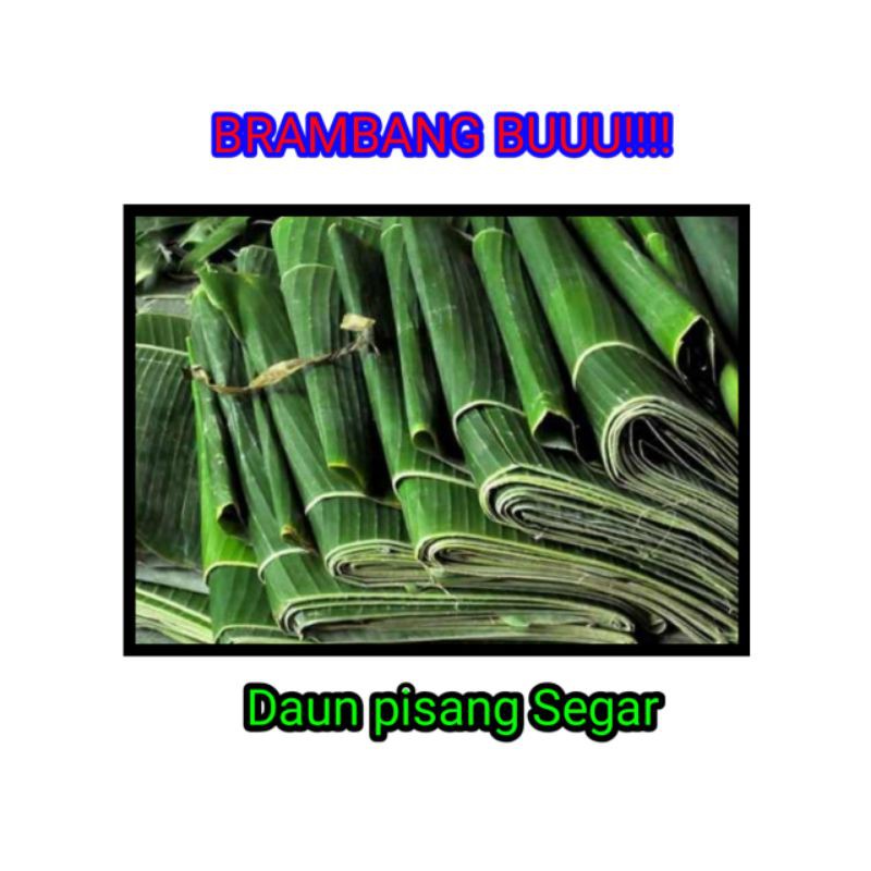 

Banana Leaf Daun Pisang Segar