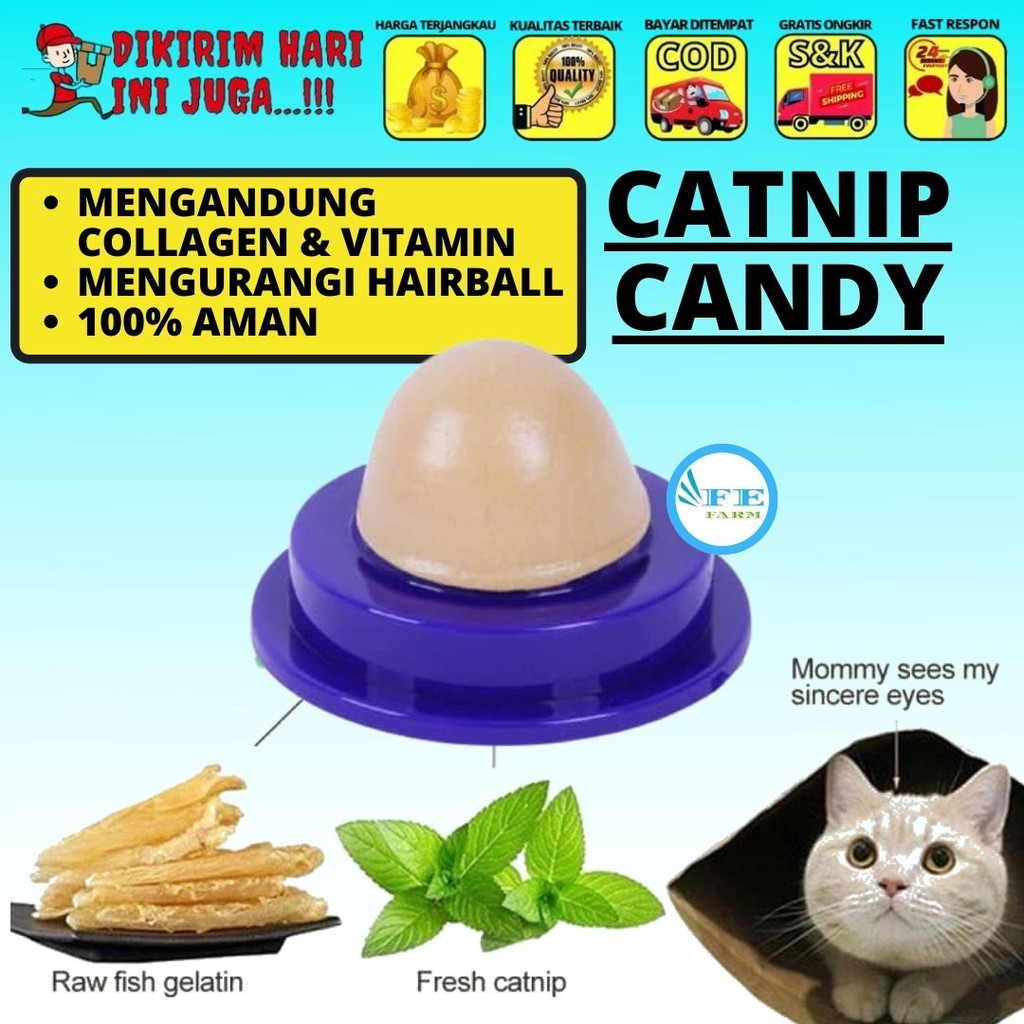 CATNIP PERMEN - CATNIP BALL BOLA PERMEN UNTUK KESEHATAN KUCING FEFARM