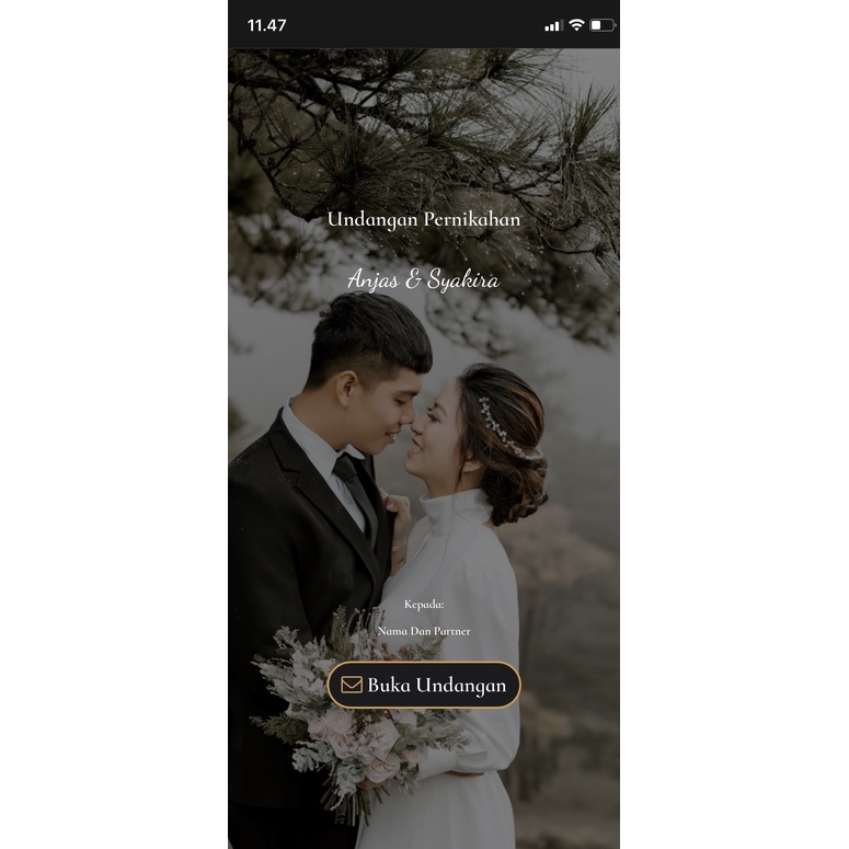 Undangan Web Wedding Invitation Paket Boros B