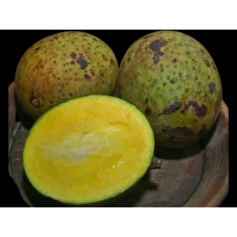 BUAH PAKEL