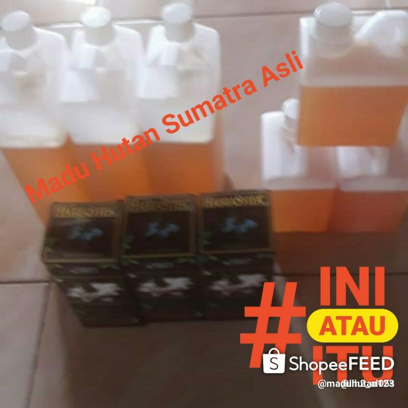 

Madu Asli hutan sumatra / 1 Kg/1000 g