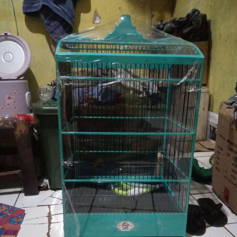 kandang ebod no.2