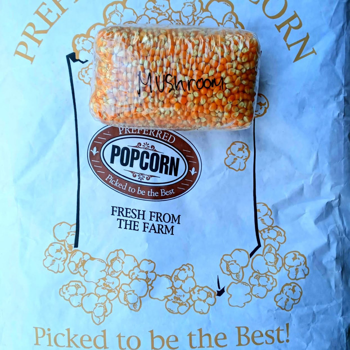 

Spesial - Mushroom Jumbo Popcorn 1Kg