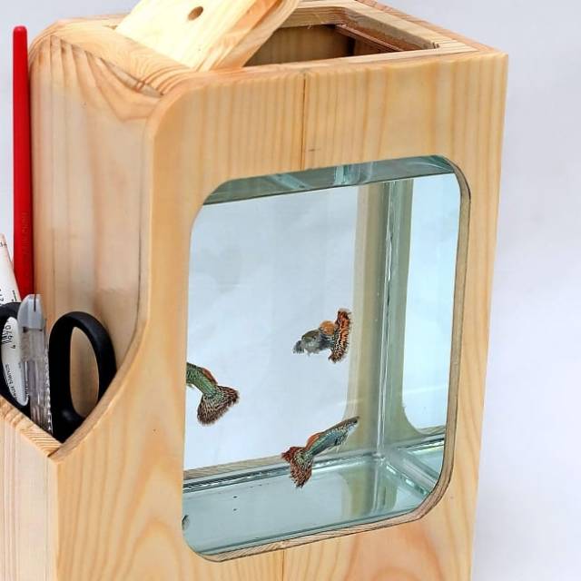 Aquarium mini buat ikan cupang ( beta fish )