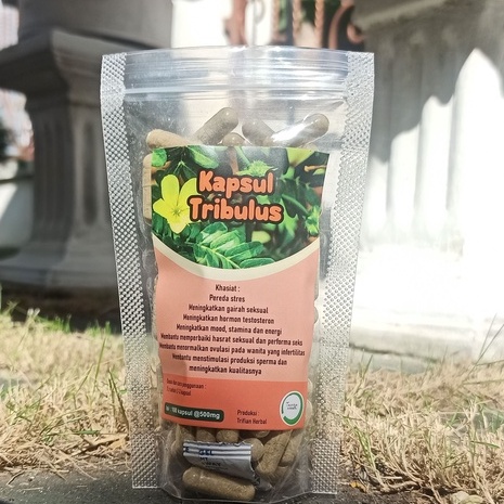 Kapsul Herbal Tribulus isi 100 kapsul untuk kesehatan trifian herbal