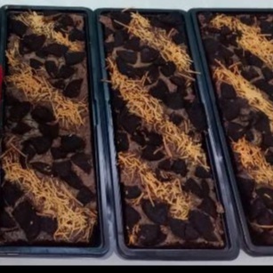 

Brownies Panggang