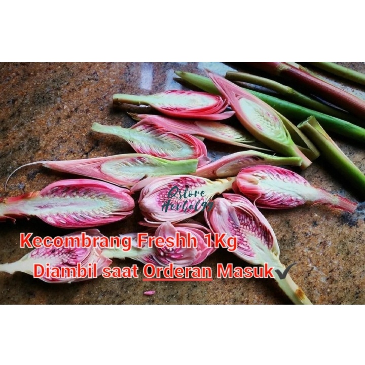 

Ready Bunga honje kecombrang comrang romeh fresh 1kg