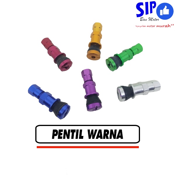 Pentil tubeless warna