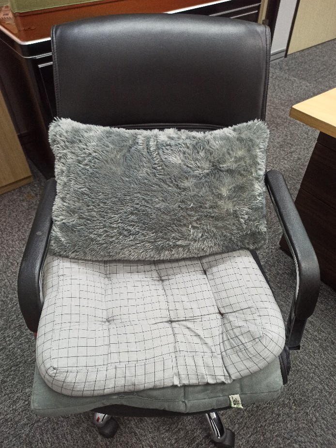 Bantal Panjang Bulu Rasfur Empuk Ukuran 33x54 Cm