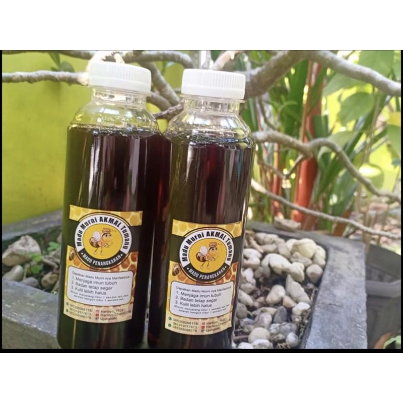 

madu murni penangkaran