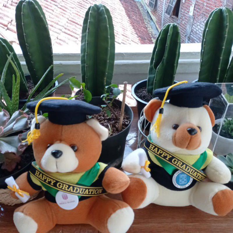 

Boneka Wisuda 30cm Dengan Packing Plastik Parcel (OPP) Motif