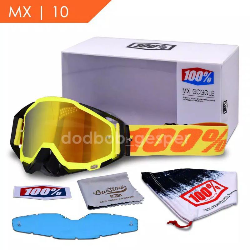 goggle 100%