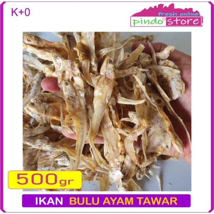 IKAN BULU AYAM ASIN KERING BERKUALITAS