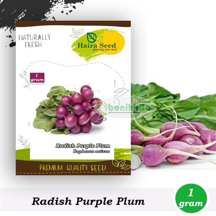 Benih-Bibit Radish Purple Plum (Haira Seed)