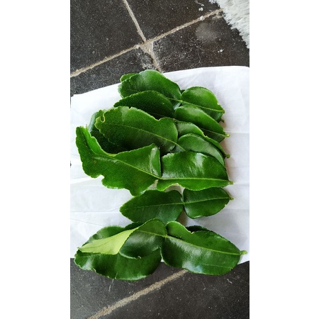 

Daun jeruk bumbu aromatik masak