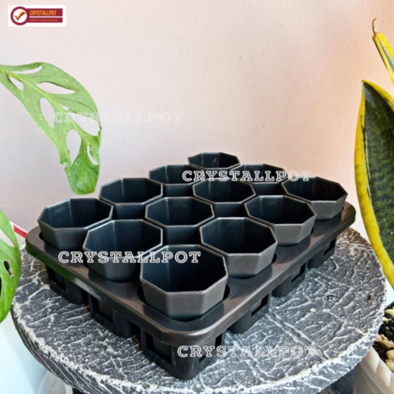 1 set Tray + POT BUNGA NKT PAGODA MINI 5CM HITAM | tray semai bibit