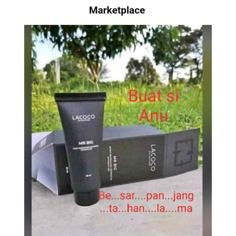 LACOCO MrBiG Original NASA