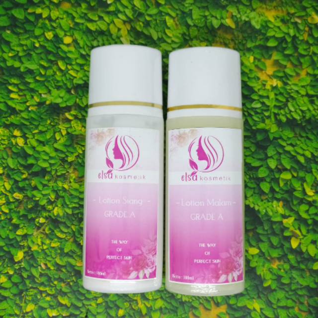 HB Super Grade A / HB Elsa grade A / HB anggur / HB dosting / HB Super Whitening