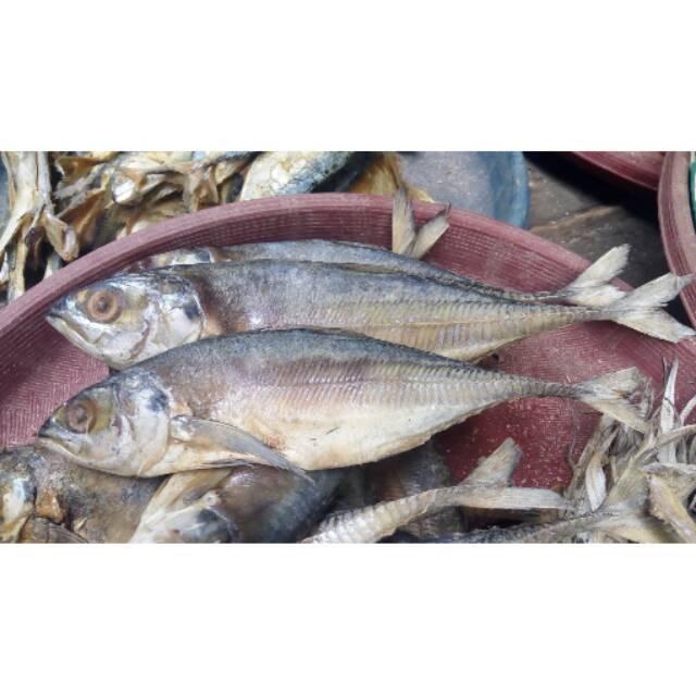 

Ikan Asin Cincaru / Tegang Ekor Kuda ( Loong ) @ 1 Kg