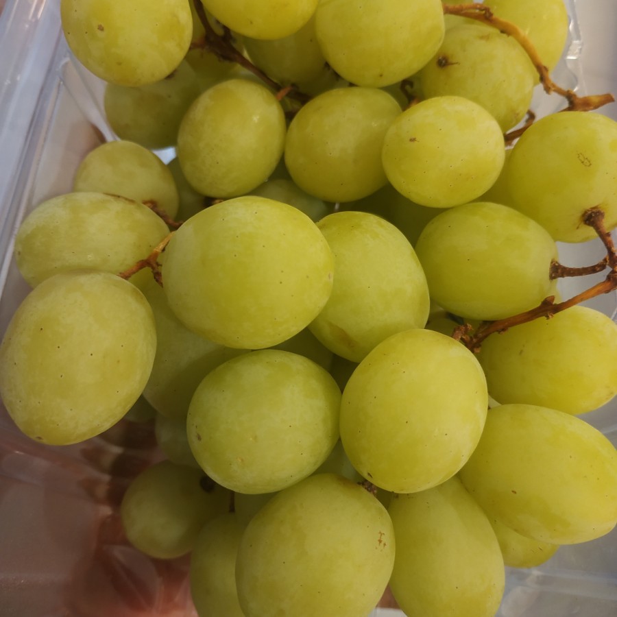 

Anggur Hijau Autum 0.5 kg
