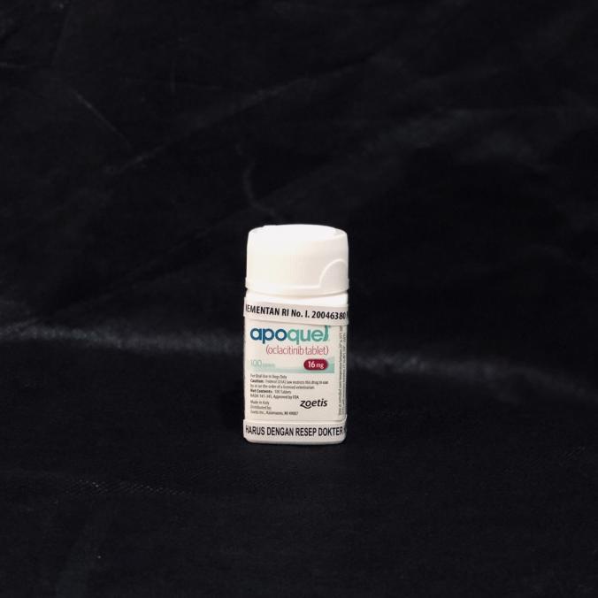 APOQUEL DOG 16 MG (10 TABLET)