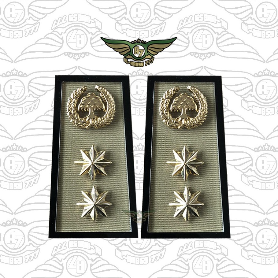 PANGKAT PNS LAMPUNG GOL 4B EXCLUSIVE PULL MIKA