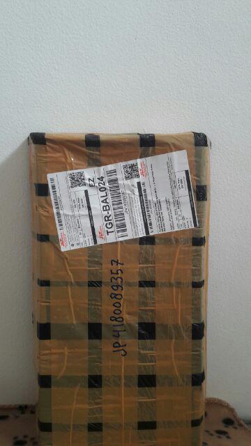 Tanaman Hias Crossandra