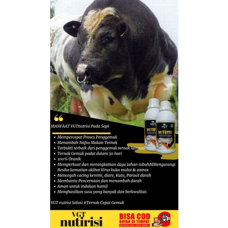 vitamin gemuk ternak VGT khusus kambing dan sapi vitamin probiotik ternak sapi viterna