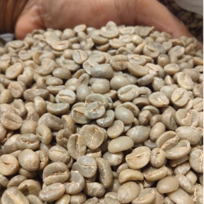 

greenbean kopi arabica kerinci natural
