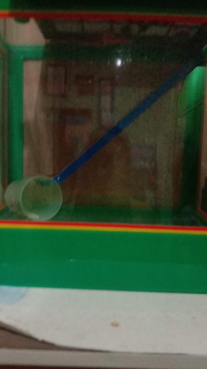 Aquarium Es Kelapa Kecil Acrylic Es Buah + Gayung Lion Star Lionstar