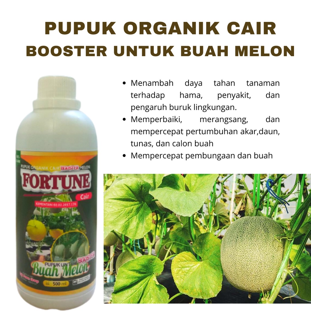 Jual Pupuk Organik Booster Melon Pupuk Khusus Pembesar Buah Melon Pupuk Booster Organik Fortune