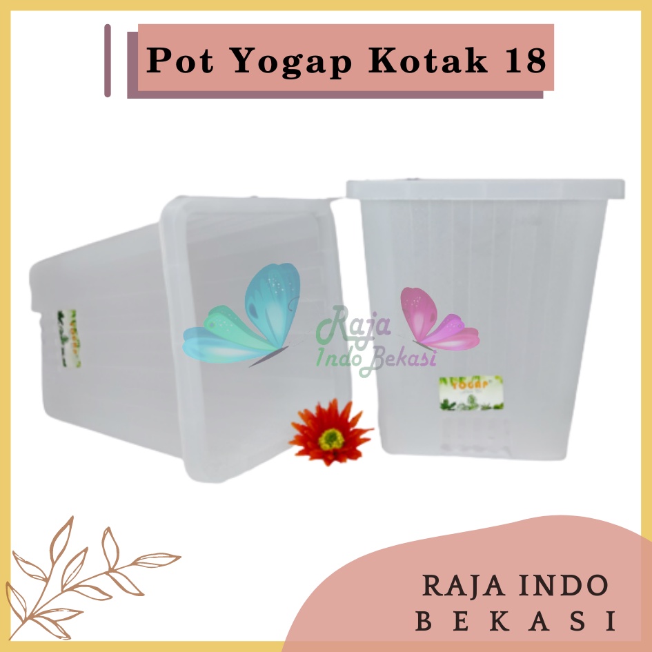 Rajaindobekasi Pot Yogap Kotak 18 Transparan Bening Clear Pot Yogap 10 13 15 17 18 19 25 30 Pot Yogap Lusinan Pot Kotak Panjang Tinggi Pot Segi Empat Hias Panjang Plastik