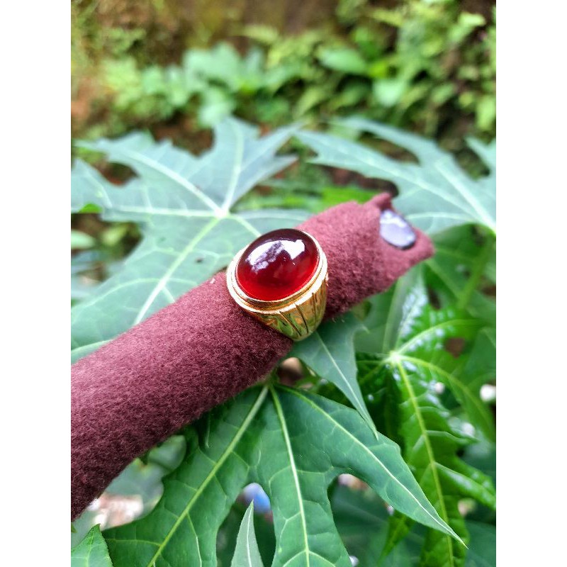 Cincin Katilayu