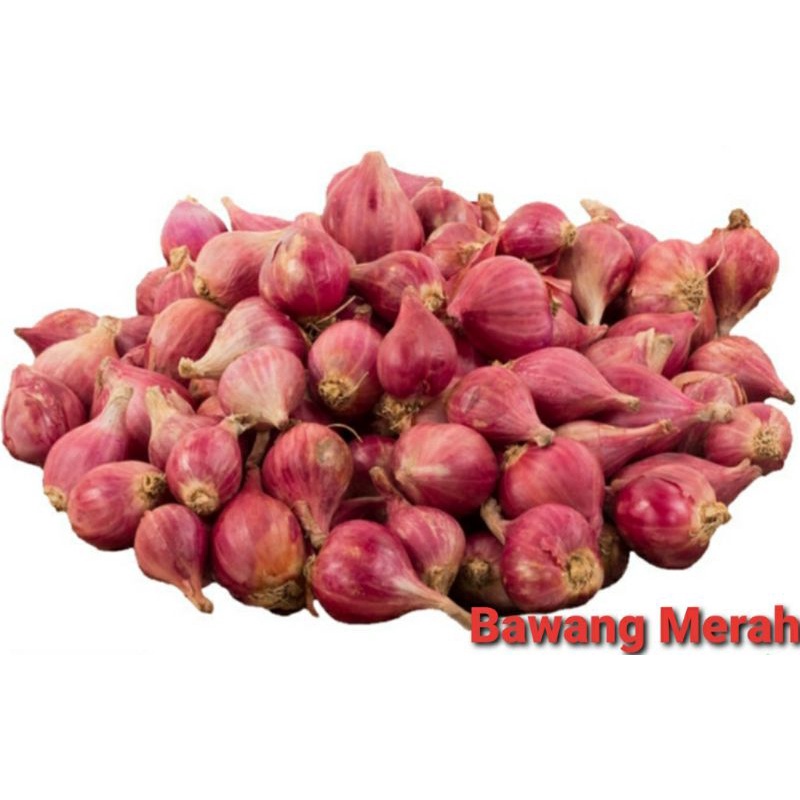 

Bawang Merah Curah / Shallot / Bawang Merah