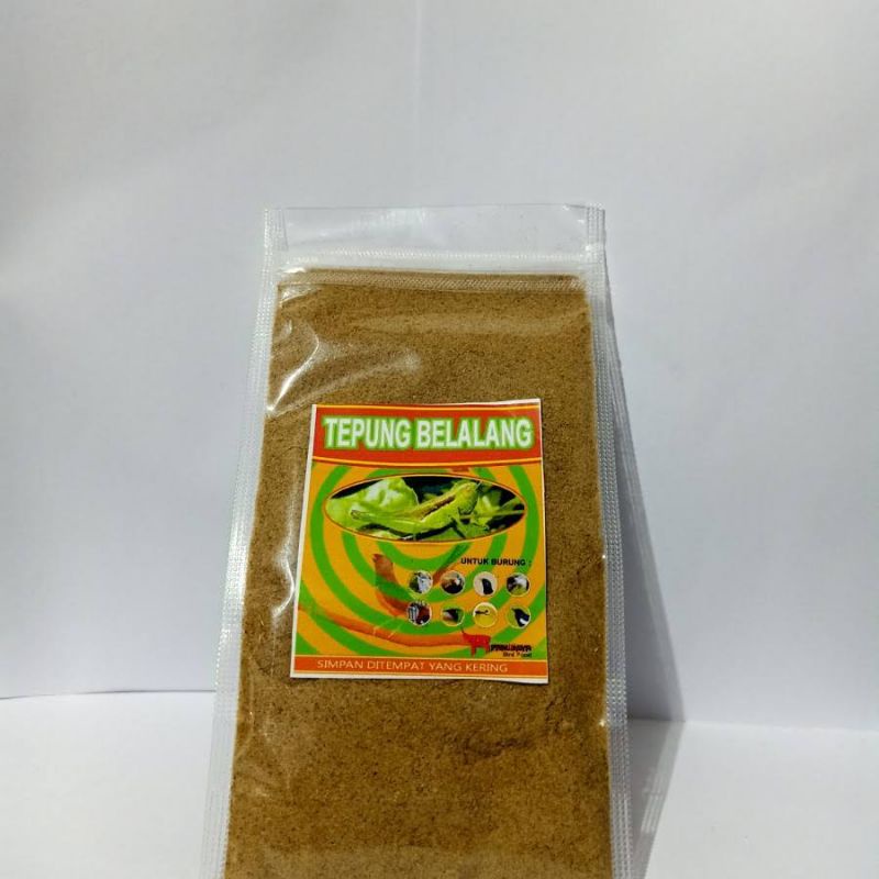 

BiskuitBelalang