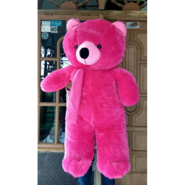 teddy bear jumbo pink