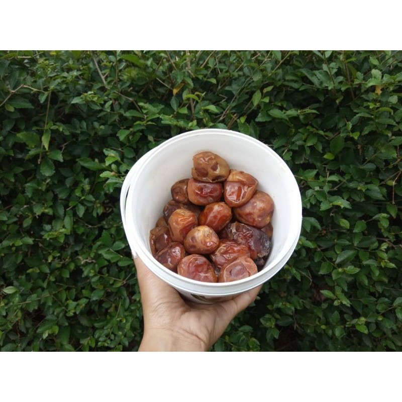 

Kurma Sukari