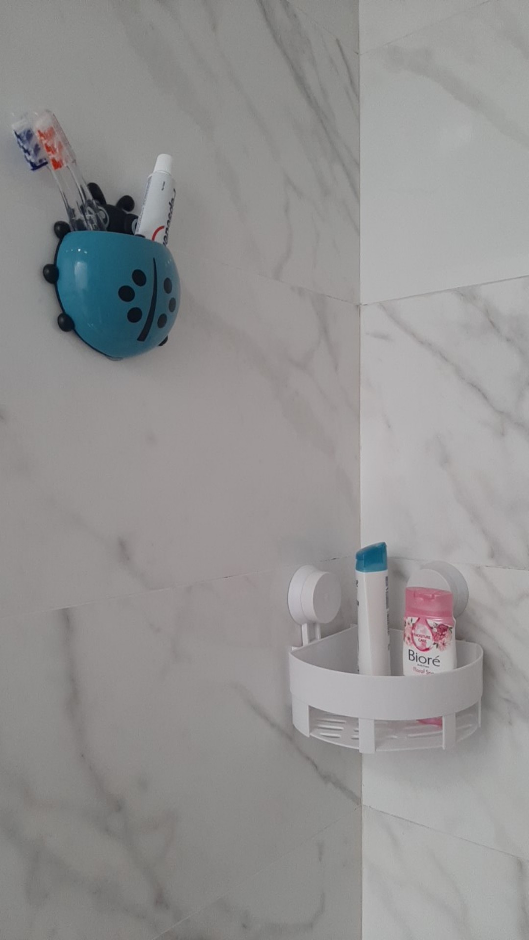 Kasimurah K043 Tempat Sikat Pasta Gigi Lady Bug Toothpaste Brush Organizer Container Lady Bug Grosir
