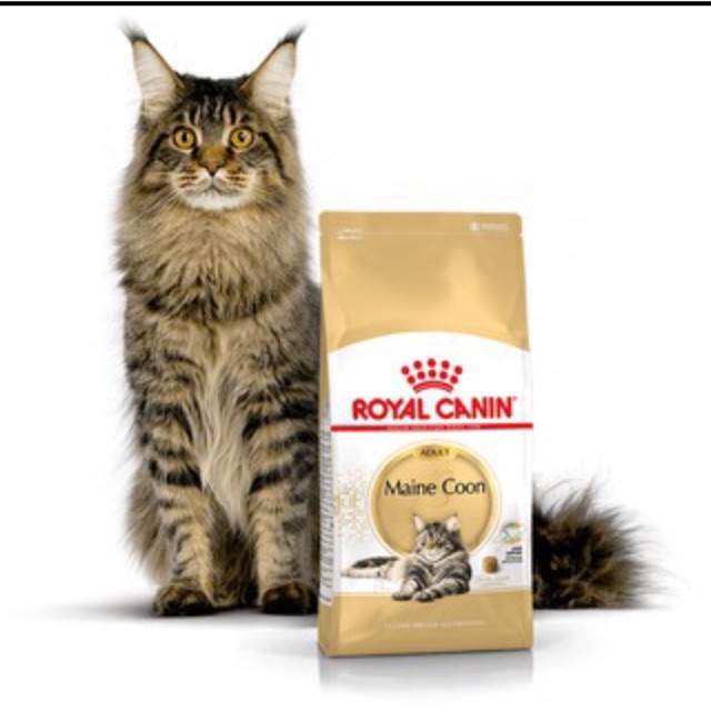 Royal Canin Main Coon Adult Cat 400GR / Rc canin Main coon adult cat 400gr