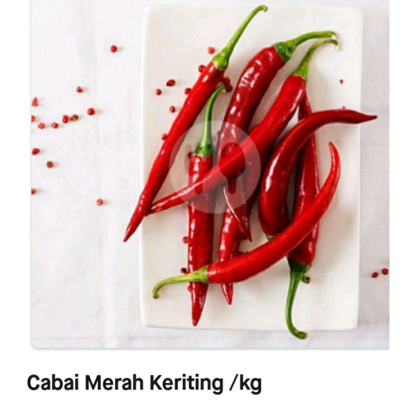 

cabai merah keriting