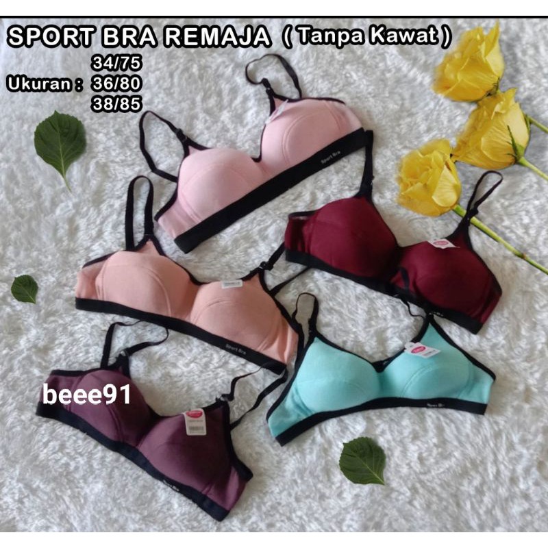 Paket Isi 6 Pcs Bh Remaja Tanpa Busa - Busa Tipis Polos Dan Motif Sablon Harga  LUSINAN 1400 dan 1506